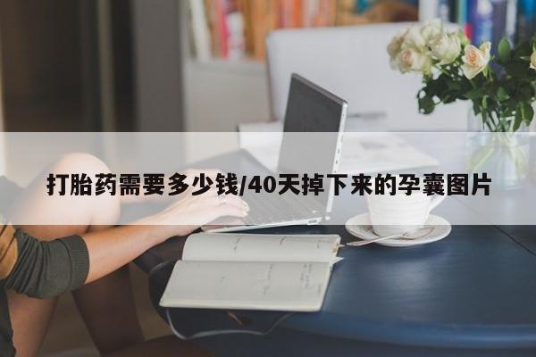 米非米索打胎药联系方式堕胎药购买途径打胎药需要多少钱/40天掉下来的孕囊图片